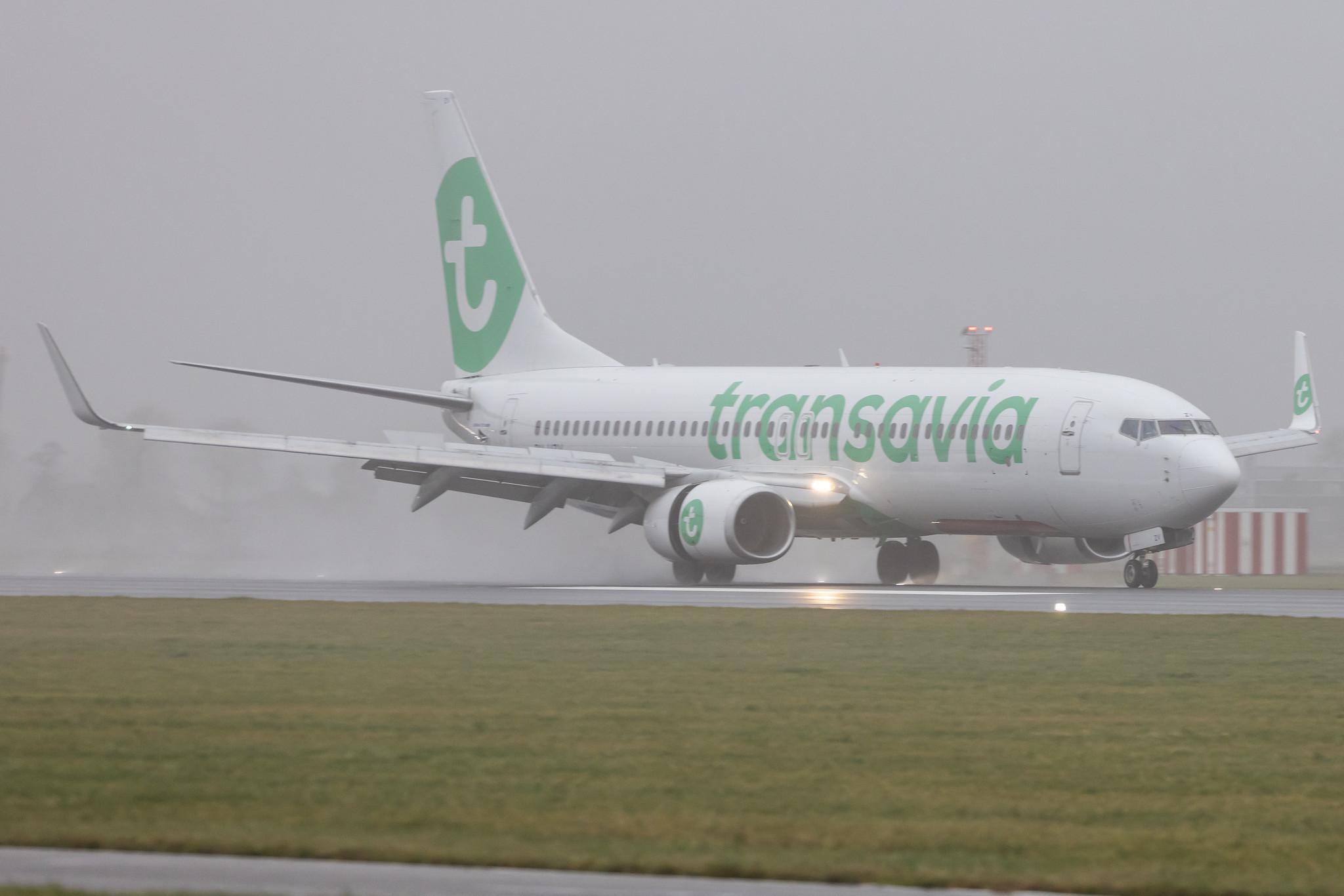 Amsterdam Schiphol: Transavia (HV / TRA) |  Boeing 737-8K2 B738 | PH-HZV | MSN 30650