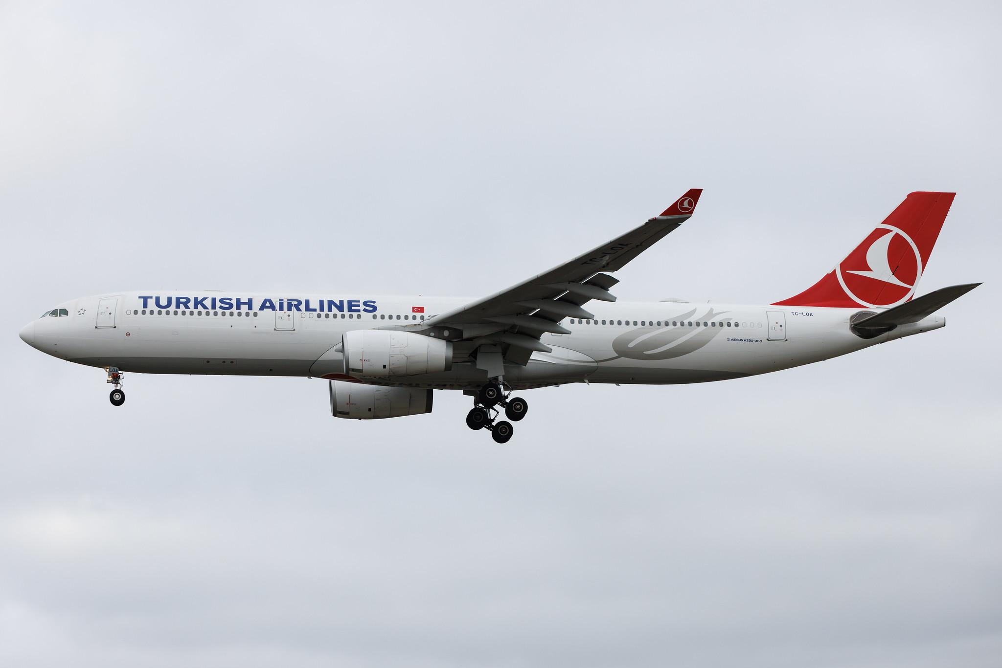 Hamburg Airport: Turkish Airlines (TK / THY) | Airbus A330-343 A333 | TC-LOA | MSN 1483