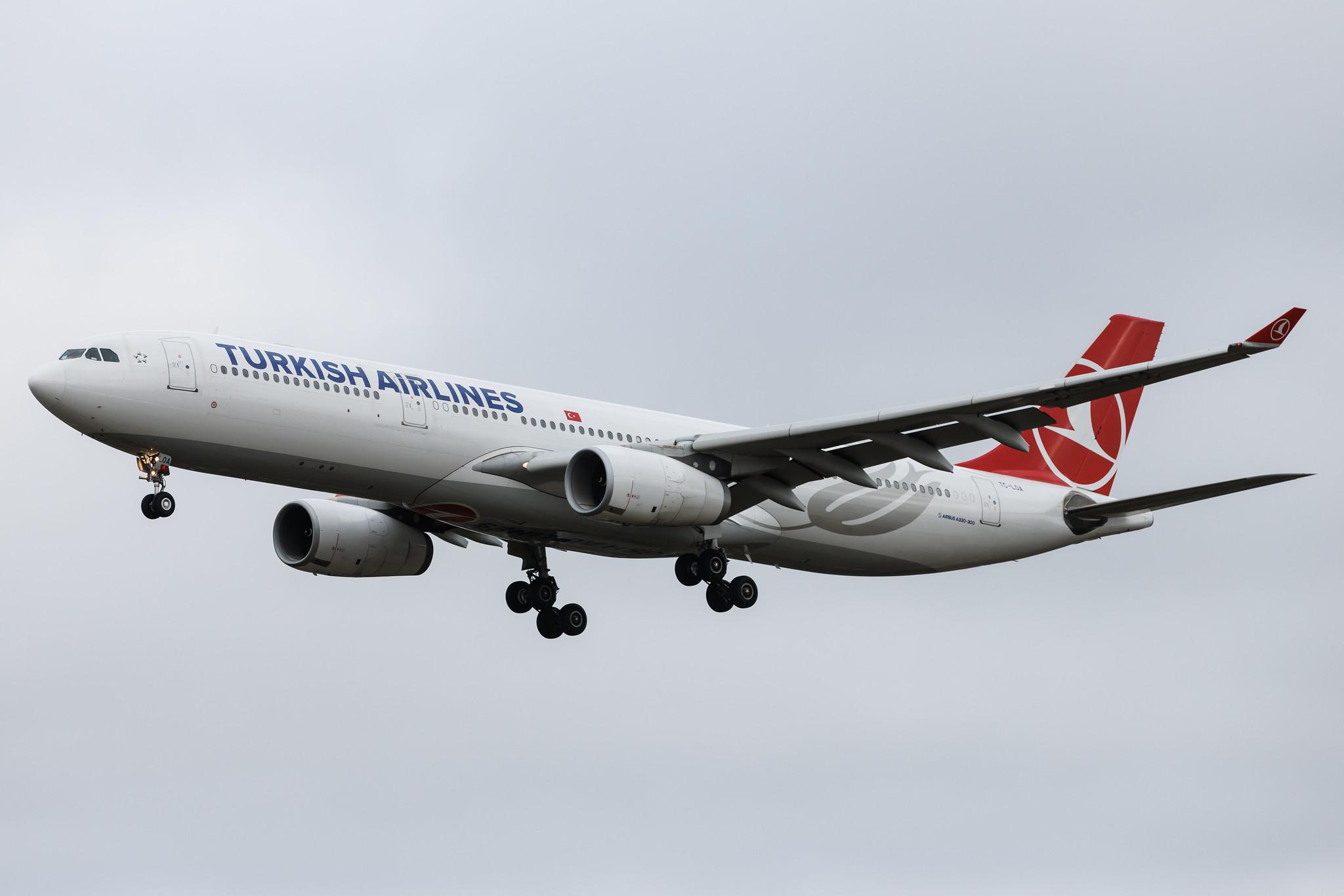 Hamburg Airport: Turkish Airlines (TK / THY) | Airbus A330-343 A333 | TC-LOA | MSN 1483