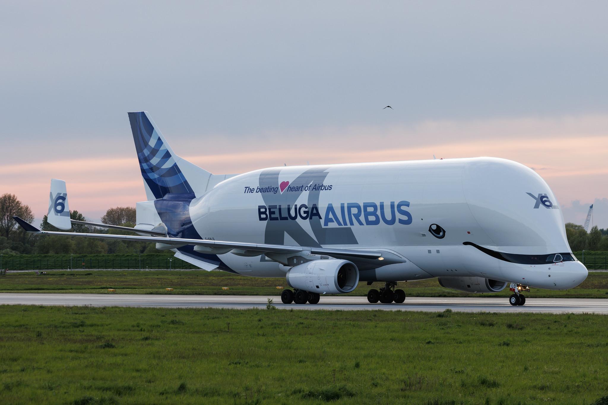 Hamburg Finkenwerder: Airbus Transport International (4Y / BGA) | Airbus A330-743L Beluga XL A337 | F-GXLO | MSN 2041