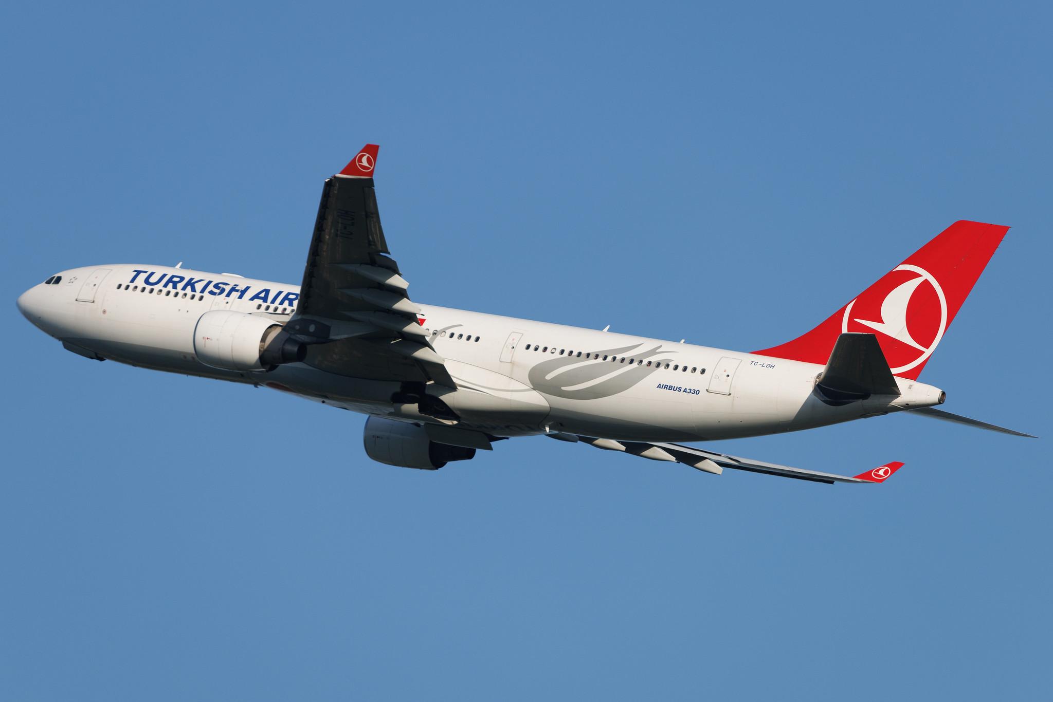 Hamburg Airport: Turkish Airlines (TK / THY) | Airbus A330-223 A332 | TC-LOH | MSN 1213