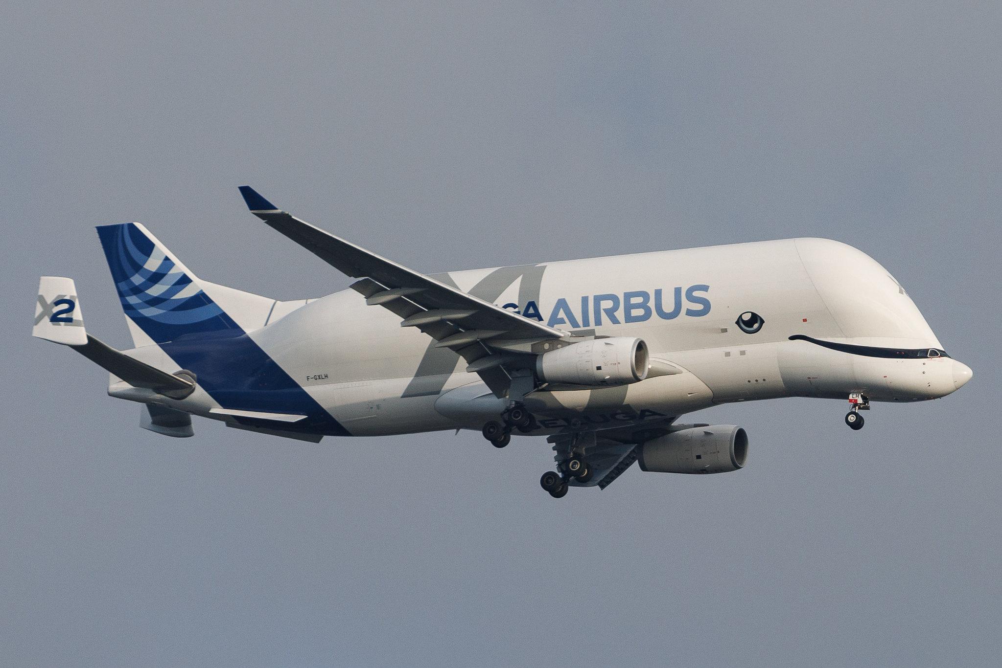 Hamburg Airport: Airbus Transport International (4Y / BGA) | Airbus A330-743L Beluga XL A337 | F-GXLH | MSN 1853