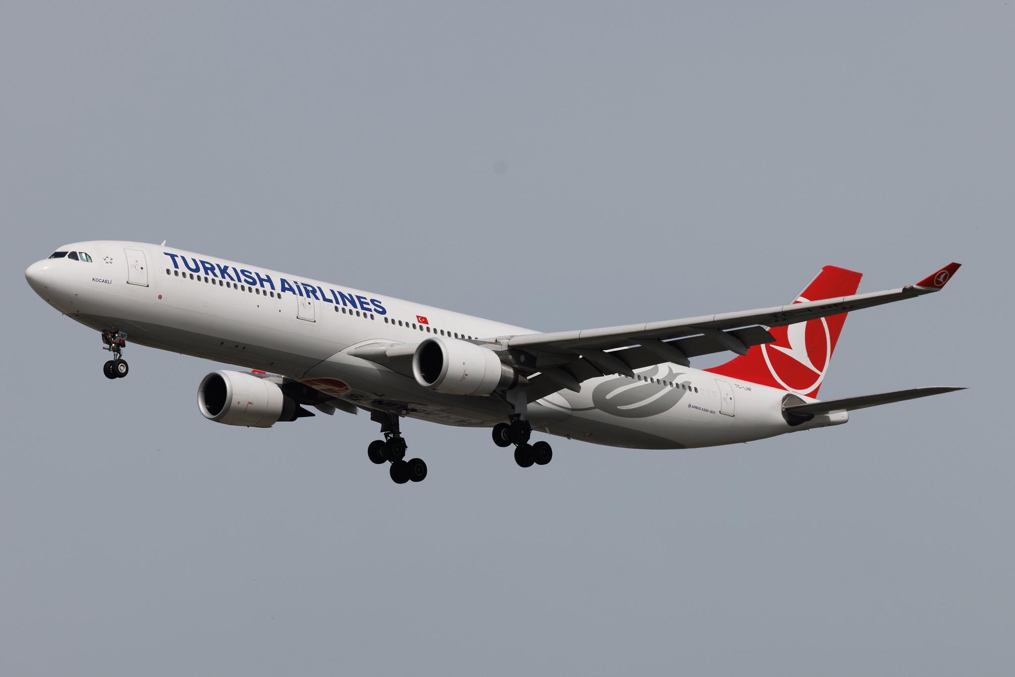 Frankfurt Airport: Turkish Airlines (TK / THY) | Airbus A330-303 A333 | TC-LNF | MSN 1713