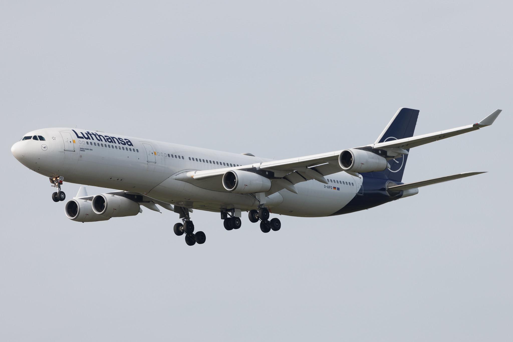 Frankfurt Airport: Lufthansa (LH / DLH) | Airbus A340-313 A343 | D-AIFD | MSN 0390