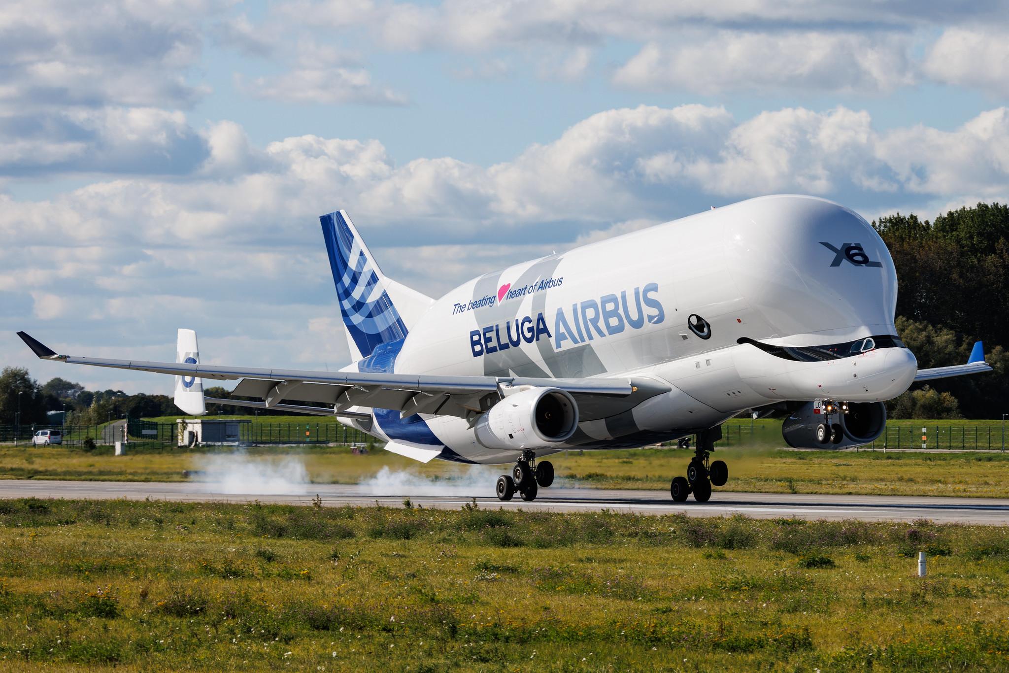 Hamburg Finkenwerder: Airbus Transport International (4Y / BGA) | Airbus A330-743L Beluga XL A337 | F-GXLO | MSN 2041