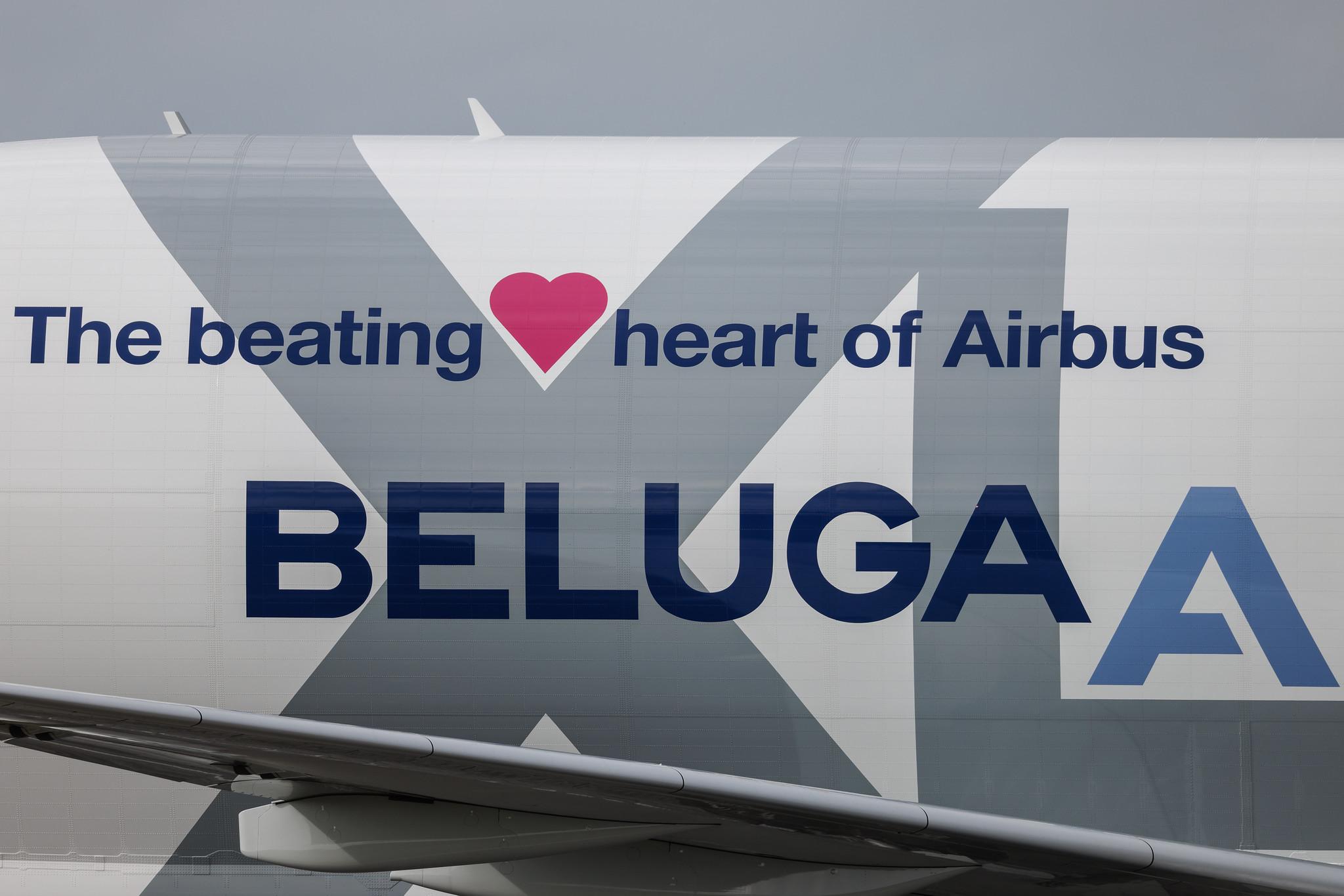 Hamburg Finkenwerder: Airbus Transport International (4Y / BGA) | Airbus A330-743L Beluga XL A337 | F-GXLO | MSN 2041