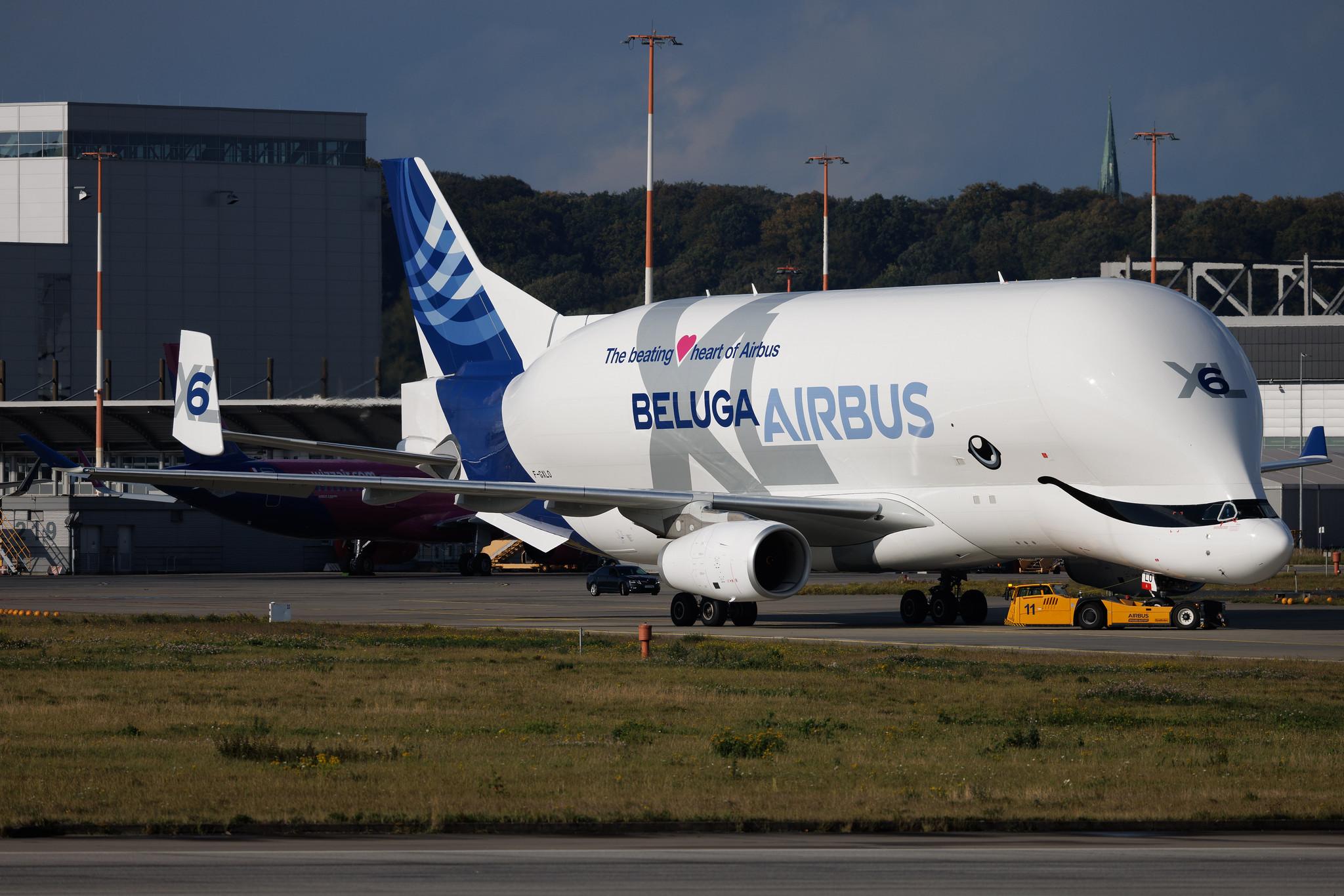 Hamburg Finkenwerder: Airbus Transport International (4Y / BGA) | Airbus A330-743L Beluga XL A337 | F-GXLO | MSN 2041