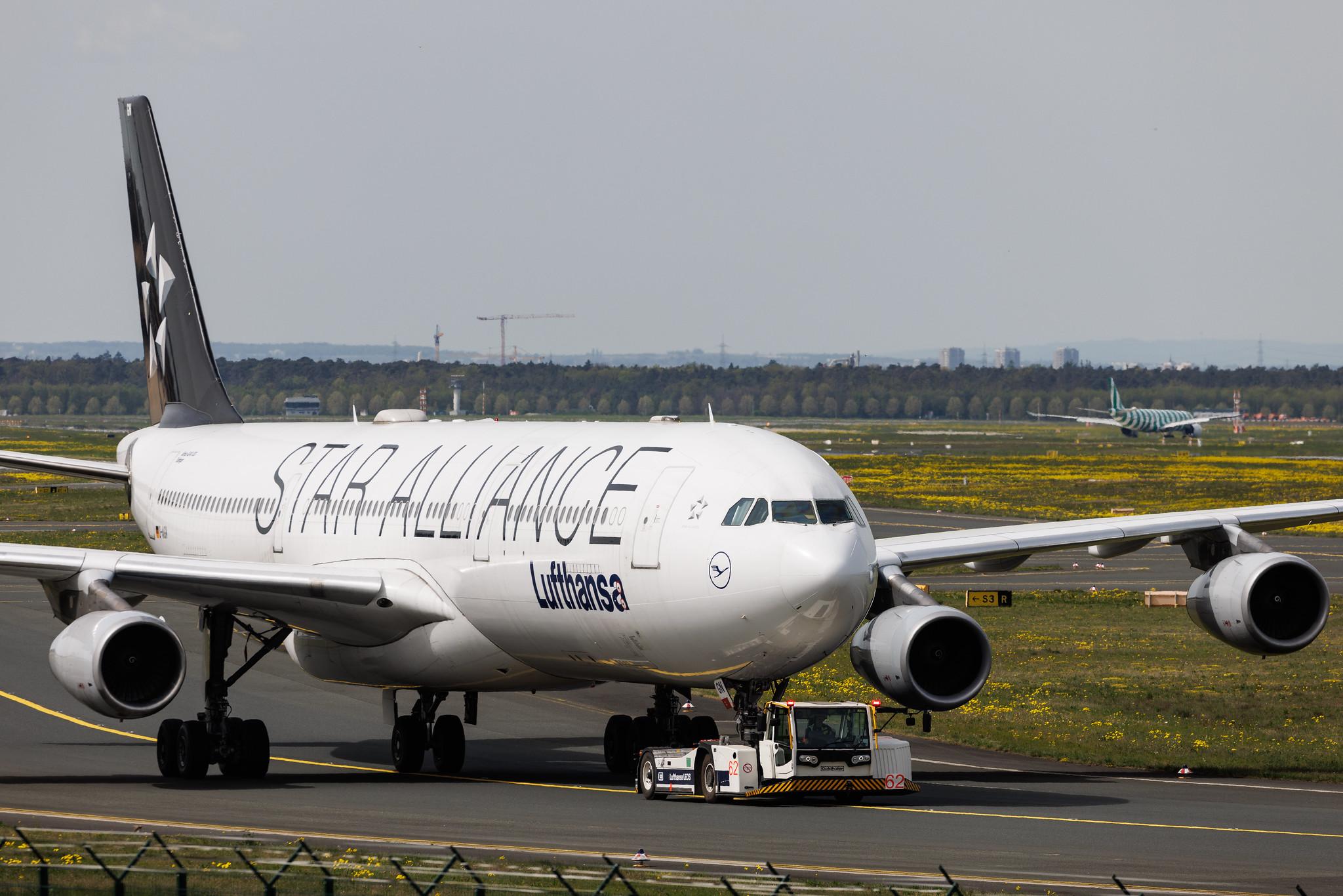 Frankfurt Airport: Lufthansa (LH / DLH) | Livery: Star Alliance Livery | Airbus A340-313 A343 | D-AIGN | MSN 0213