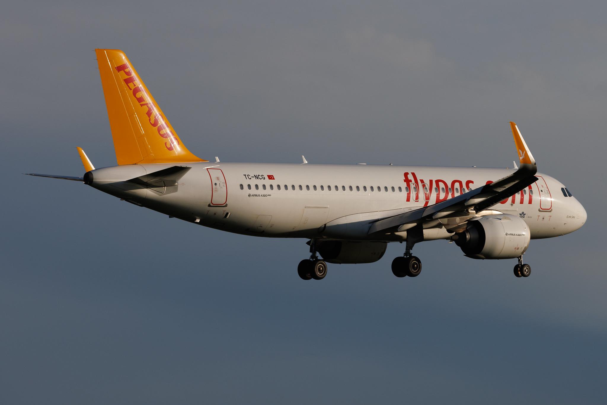Hamburg Airport: Pegasus Airlines (PC / PGT) | Airbus A320-251N A20N | TC-NCG | MSN 8863