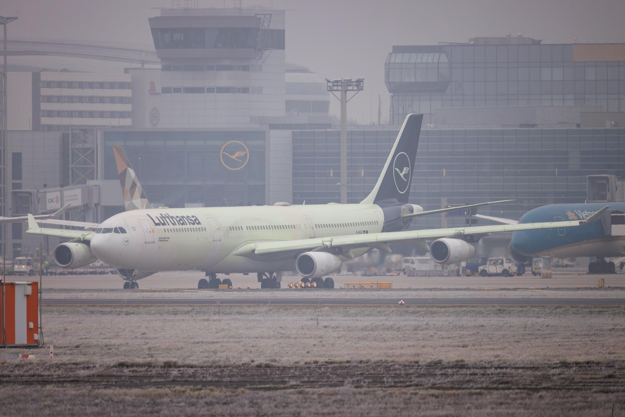 Frankfurt Airport: Lufthansa (LH / DLH) | Airbus A340-313 A343 | D-AIGU | MSN 0321