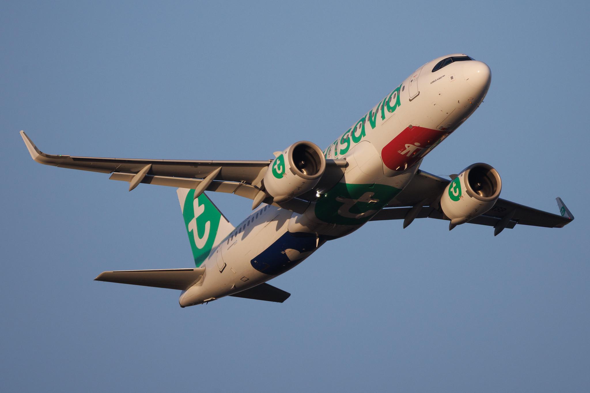 Rome Leonardo da Vinci Fiumicino Airport: Transavia (HV / TRA) | Operator: Transavia France | Airbus A320-252N A20N | F-HXSB | MSN 12045