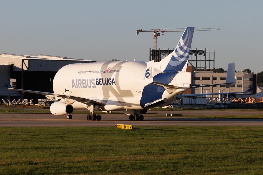 Hamburg Finkenwerder: Airbus Transport International (4Y / BGA) | Airbus A330-743L Beluga XL A337 | F-GXLO | MSN 2041